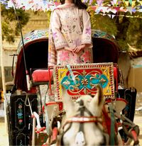 ANEELAS Unstitched Dhanak 3pcs M#21